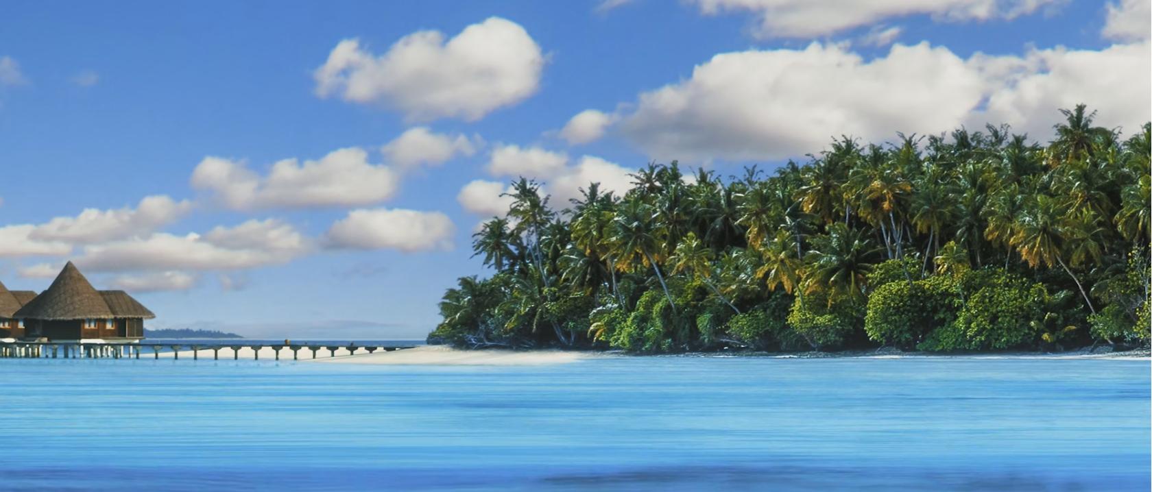 Vignette vidéo de la thématique Tropical Paradise étendue montrant une île tropicale bordée de palmiers avec de l’eau de mer calme sous un ciel bleu.