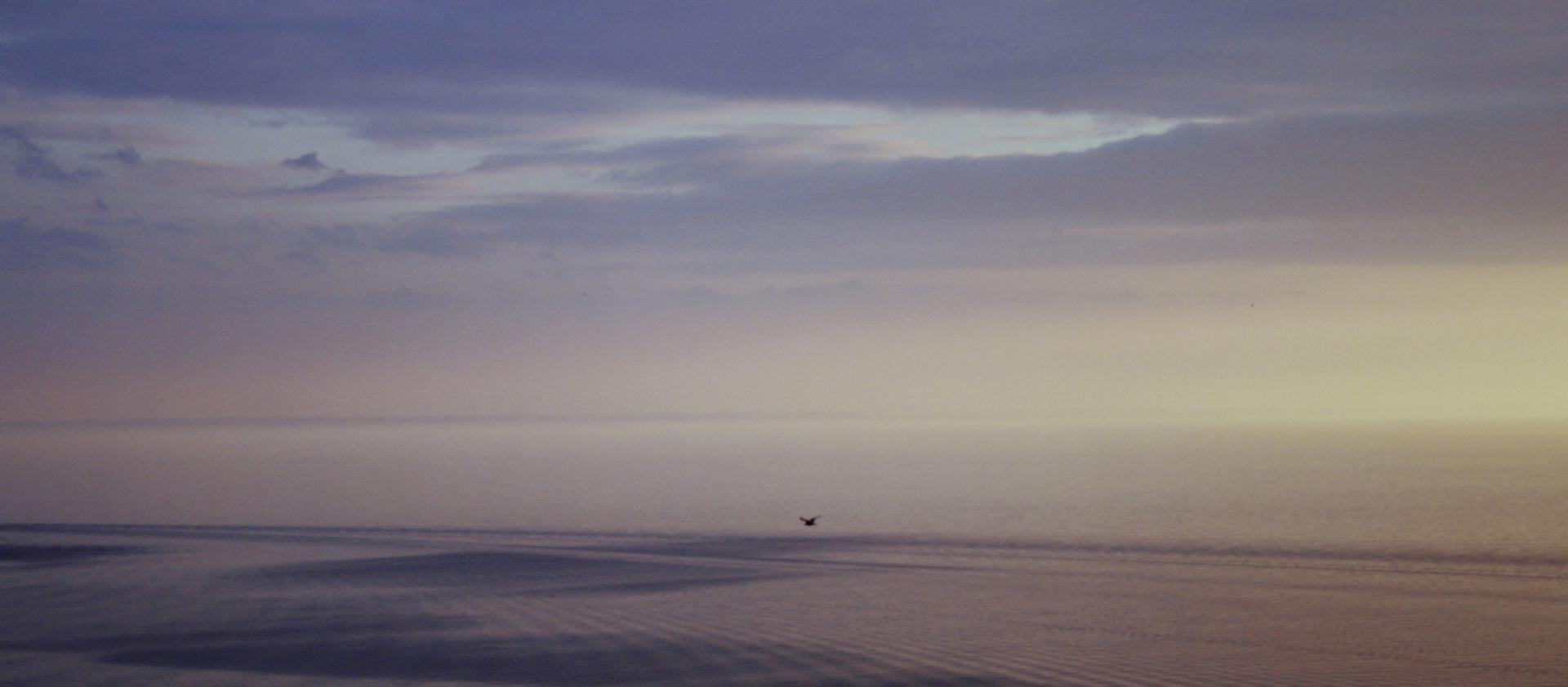 Une scène matinale sur une plage côtière