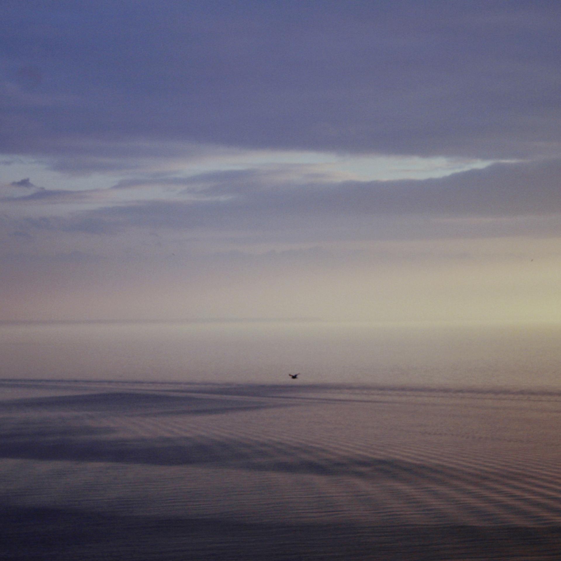 Une scène matinale sur une plage côtière